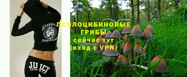 соль курить ск Арсеньев