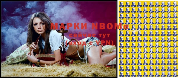 шишки Аркадак
