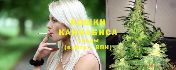 шишки Аркадак