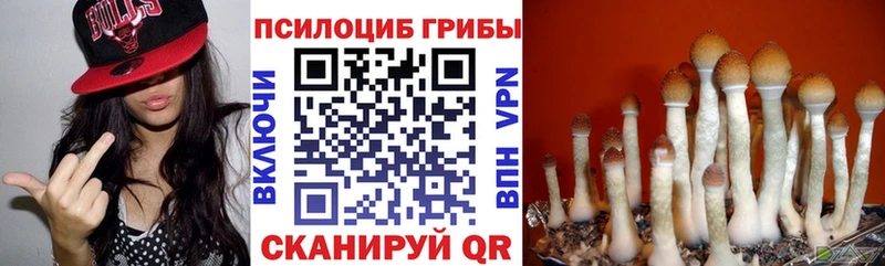 Галлюциногенные грибы GOLDEN TEACHER  Ленинск 